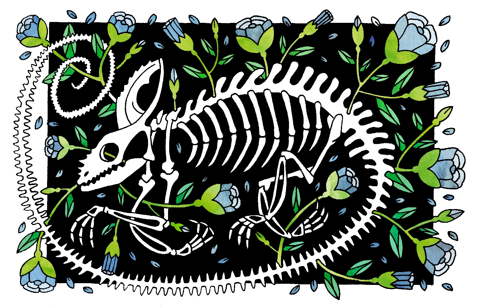 Cameleon.jpg