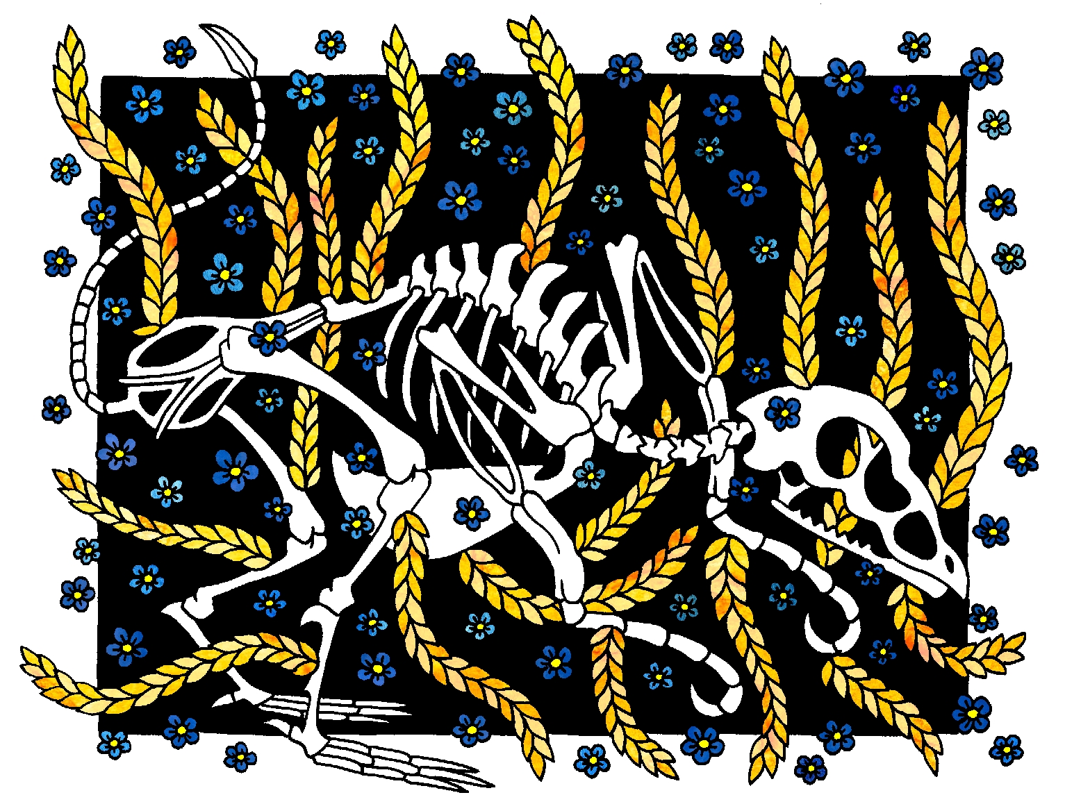 Oiseau.jpg