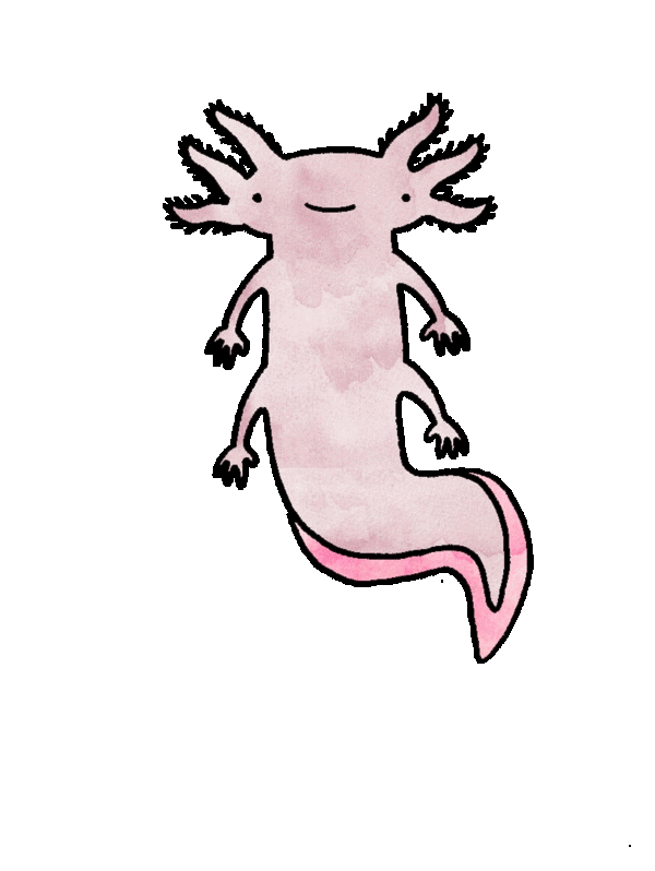 axo